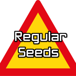 3. Regular Seeds